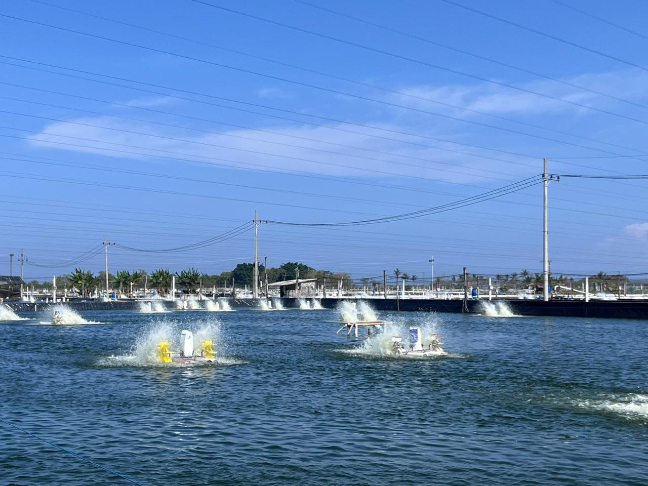 Green Tech Background